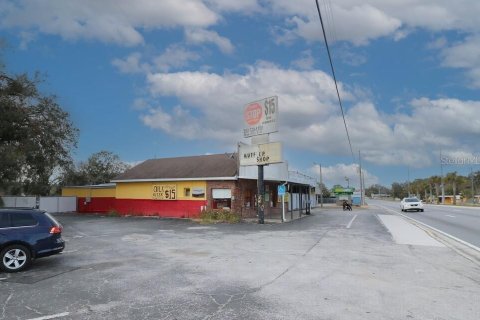 Commercial property in Leesburg, Florida 273.88 sq.m. № 1780713 - photo 2