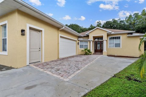 House in Tampa, Florida 5 bedrooms, 301.1 sq.m. № 2212362