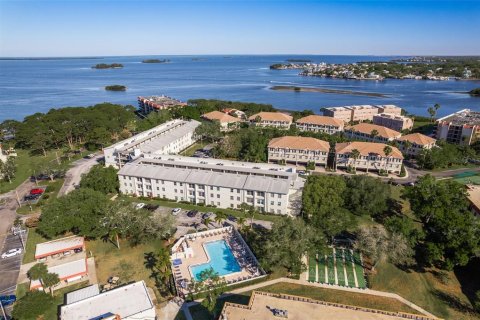 Condominio en alquiler en Dunedin, Florida, 2 dormitorios, 86.4 m2 № 1915686 - foto 22