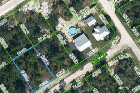 Land in Lake Placid, Florida № 2223972