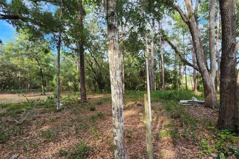 Land in Silver Springs Shores, Florida № 1905884 - photo 2