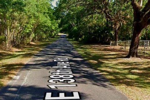 Land in Silver Springs Shores, Florida № 1905884 - photo 6