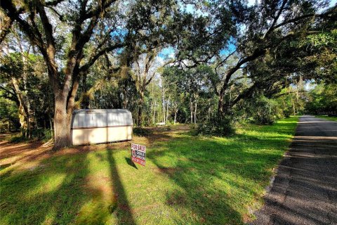 Land in Silver Springs Shores, Florida № 1905884 - photo 1