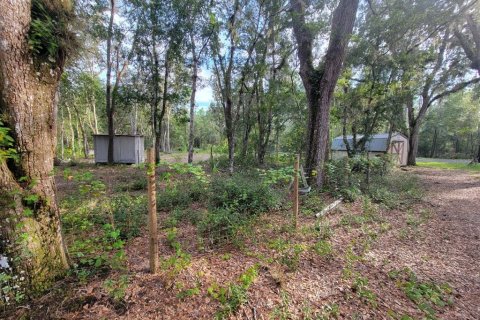 Land in Silver Springs Shores, Florida № 1905884 - photo 3