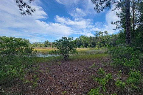 Land in Silver Springs Shores, Florida № 1905884 - photo 4
