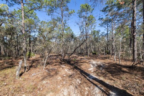 Terrain à vendre à Homosassa, Floride № 2148342 - photo 8