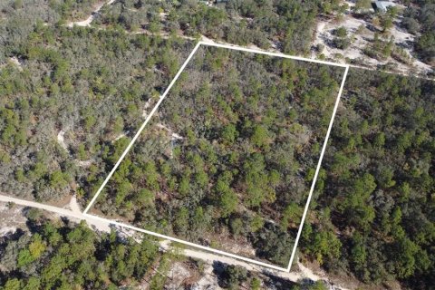 Terrain à vendre à Homosassa, Floride № 2148342 - photo 5