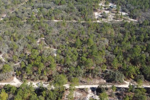 Terrain à vendre à Homosassa, Floride № 2148342 - photo 14