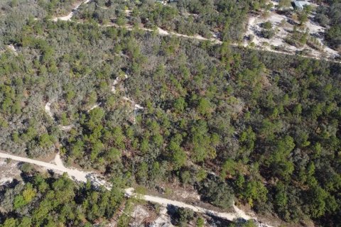Terrain à vendre à Homosassa, Floride № 2148342 - photo 4