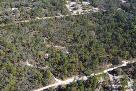 Terrain à vendre à Homosassa, Floride № 2148342 - photo 2
