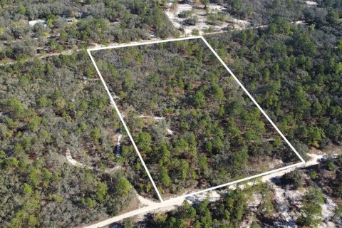 Terrain à vendre à Homosassa, Floride № 2148342 - photo 3