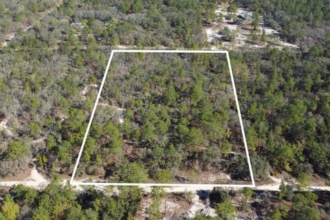 Terrain à Homosassa, Floride № 2148342