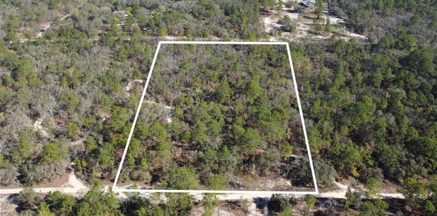 Terrain à Homosassa, Floride № 2148342