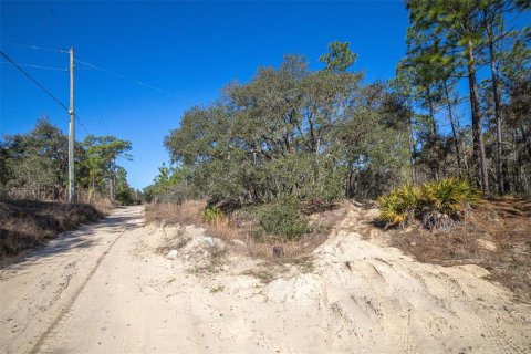 Terrain à vendre à Homosassa, Floride № 2148342 - photo 6
