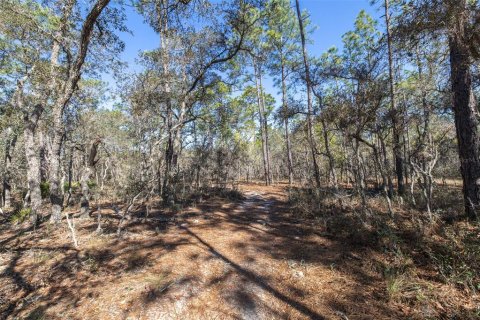 Terrain à vendre à Homosassa, Floride № 2148342 - photo 7