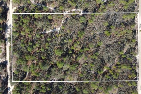 Terrain à vendre à Homosassa, Floride № 2148342 - photo 13