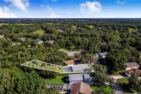 Villa ou maison à vendre à Lake Wales, Floride: 2 chambres, 112.97 m2 № 2403208 - photo 29