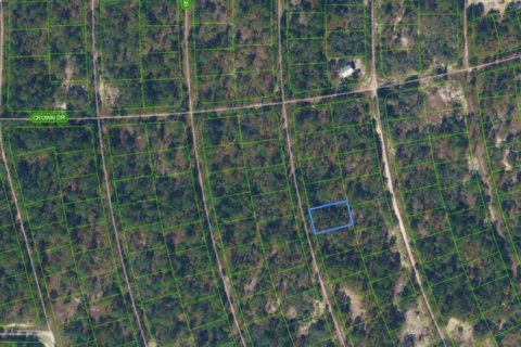 Immobilier commercial à vendre à Lake Placid, Floride № 2397987 - photo 2