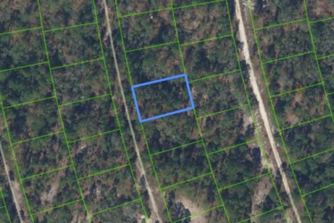 Immobilier commercial à Lake Placid, Floride № 2397987
