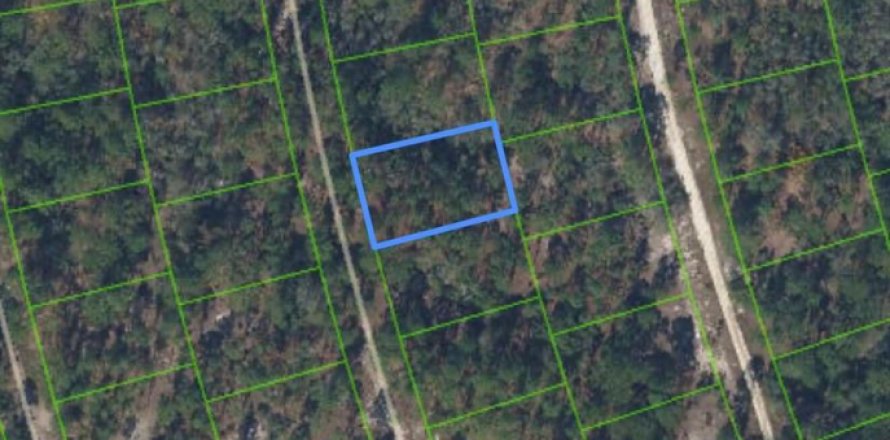Immobilier commercial à Lake Placid, Floride № 2397987
