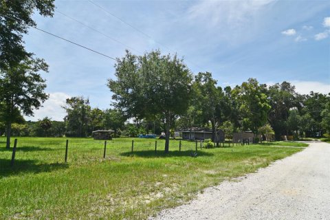 Land in Apopka, Florida № 2109963 - photo 4