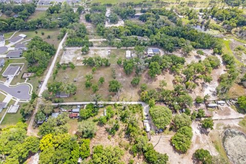 Land in Apopka, Florida № 2109963 - photo 13