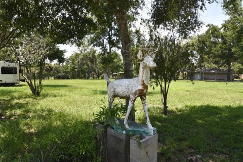 Land in Apopka, Florida № 2109963 - photo 2