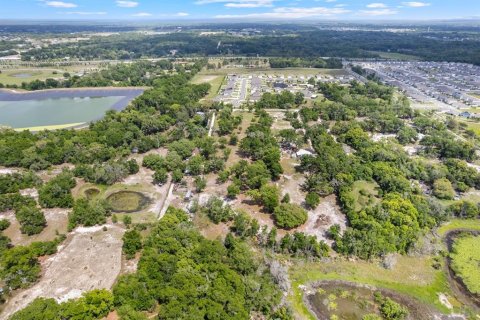 Land in Apopka, Florida № 2109963 - photo 15
