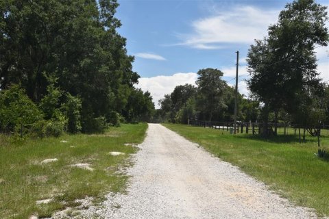 Land in Apopka, Florida № 2109963 - photo 6