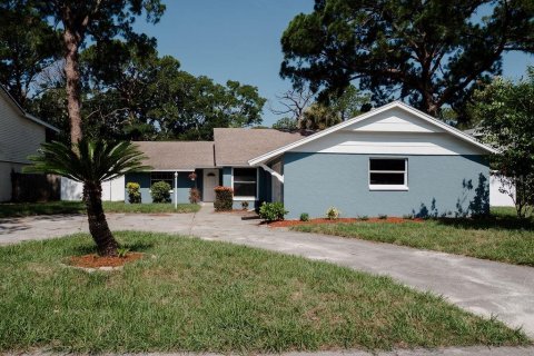 House in Tarpon Springs, Florida 4 bedrooms, 183.11 sq.m. № 1834849 - photo 1