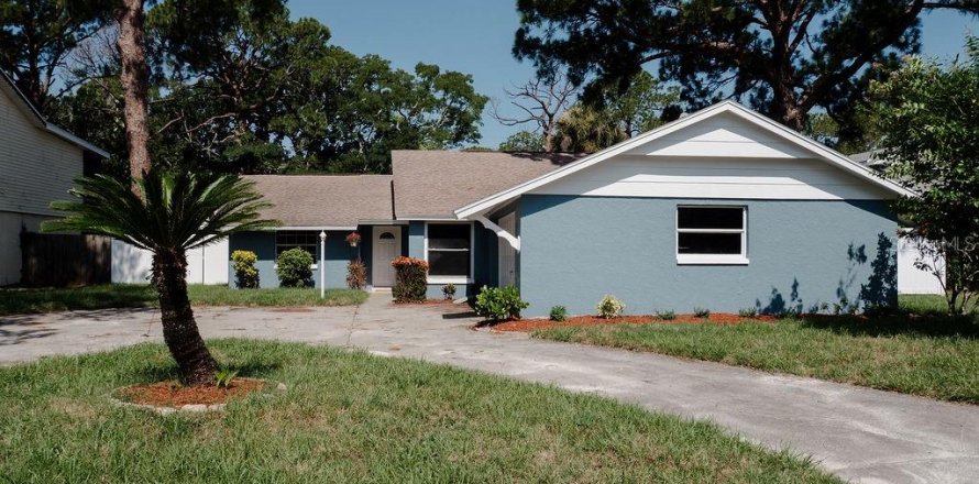 House in Tarpon Springs, Florida 4 bedrooms, 183.11 sq.m. № 1834849