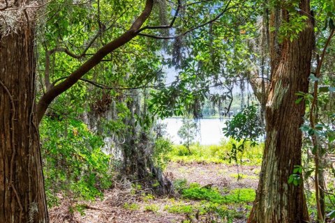 Casa en venta en Odessa, Florida, 3 dormitorios, 215.53 m2 № 1819657 - foto 16