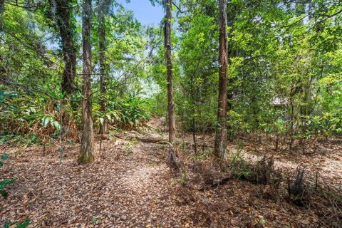 Casa en venta en Odessa, Florida, 3 dormitorios, 215.53 m2 № 1819657 - foto 15