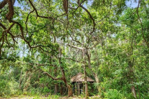 Casa en venta en Odessa, Florida, 3 dormitorios, 215.53 m2 № 1819657 - foto 17
