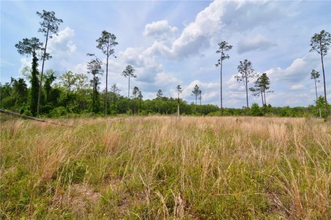 Land in Live Oak, Florida № 1657874 - photo 10