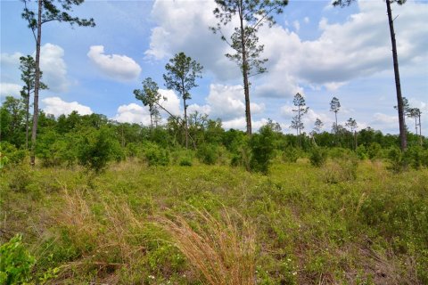 Land in Live Oak, Florida № 1657874 - photo 19