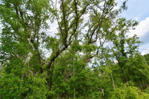 Land in Live Oak, Florida № 1657874 - photo 21