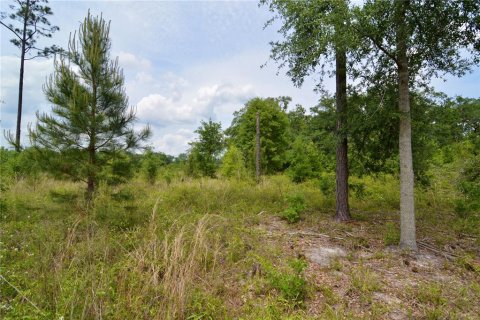 Land in Live Oak, Florida № 1657874 - photo 20