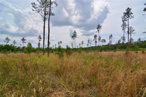 Land in Live Oak, Florida № 1657874 - photo 29