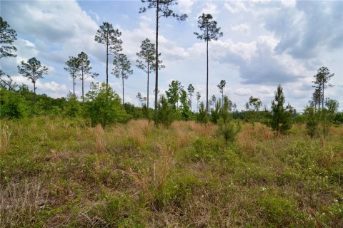 Land in Live Oak, Florida № 1657874 - photo 18