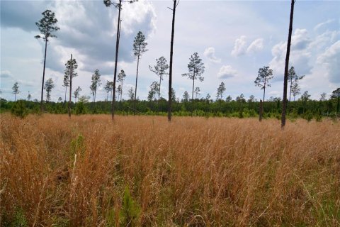 Land in Live Oak, Florida № 1657874 - photo 30