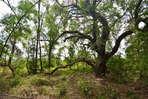Land in Live Oak, Florida № 1657874 - photo 24