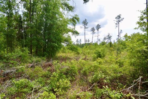 Land in Live Oak, Florida № 1657874 - photo 26