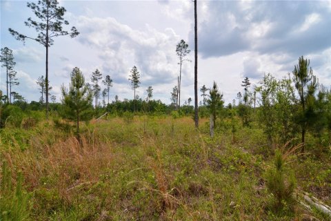 Land in Live Oak, Florida № 1657874 - photo 28