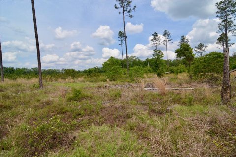 Land in Live Oak, Florida № 1657874 - photo 17