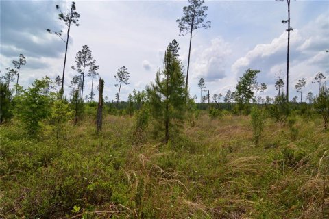 Land in Live Oak, Florida № 1657874 - photo 27