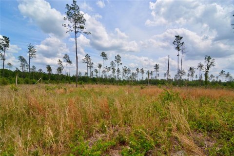 Land in Live Oak, Florida № 1657874 - photo 15