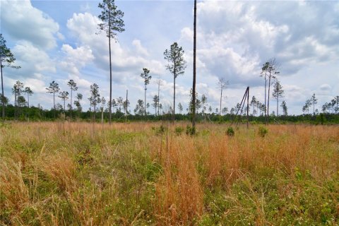 Land in Live Oak, Florida № 1657874 - photo 13
