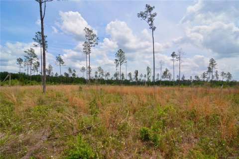 Land in Live Oak, Florida № 1657874 - photo 11