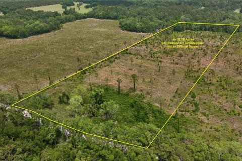 Land in Live Oak, Florida № 1657874 - photo 1